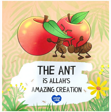 The Ant is Allah's Amazing Creation