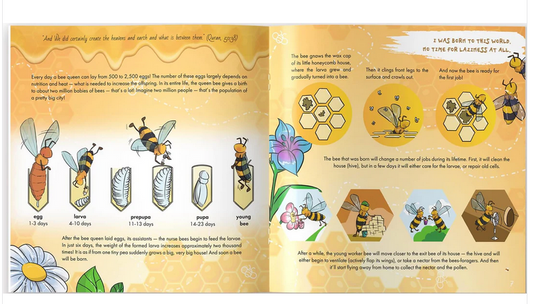 The Bee is Allah's Amazing Creation