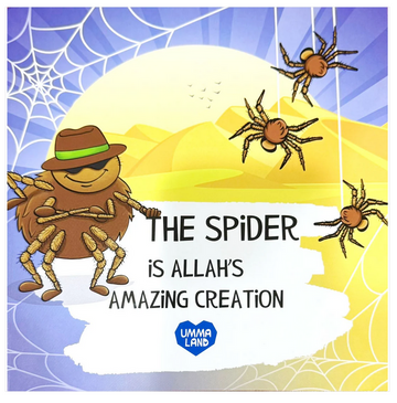 The Spider is Allah's Amazing Creation