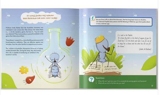 The Fly is Allah's Amazing Creation