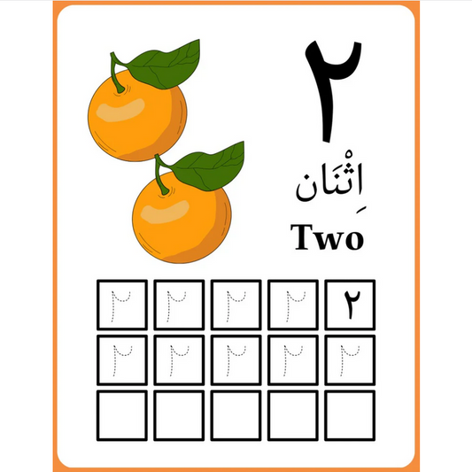 How Do i count? Arabic counting workbook