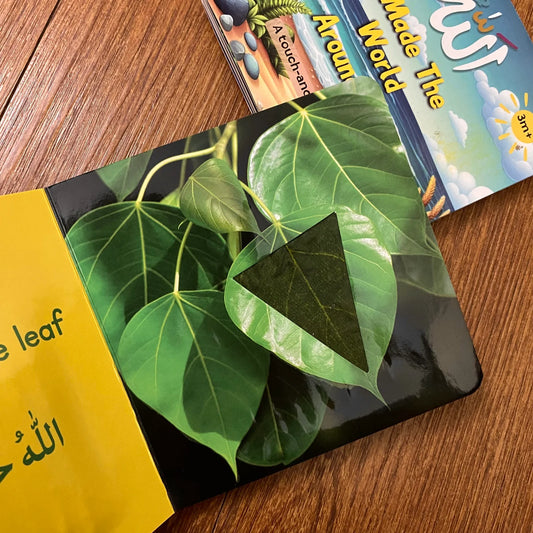 Allah Made the World Around Me - A touch and feel Bilingual Arabic And English Book